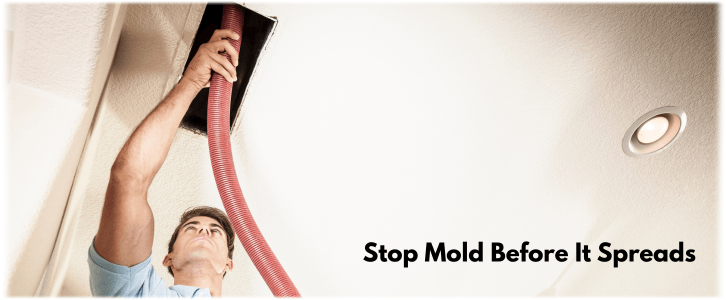 Air Duct Mold Removal in Dallas TX